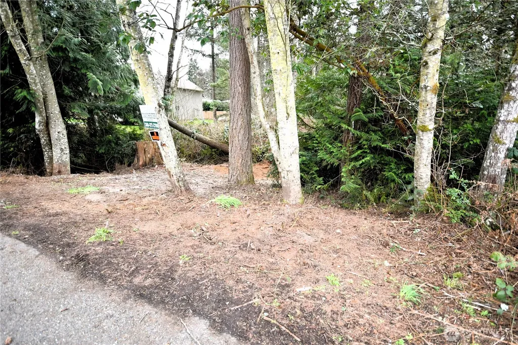 0 SE Cleveland Avenue Port Orchard WA 98366