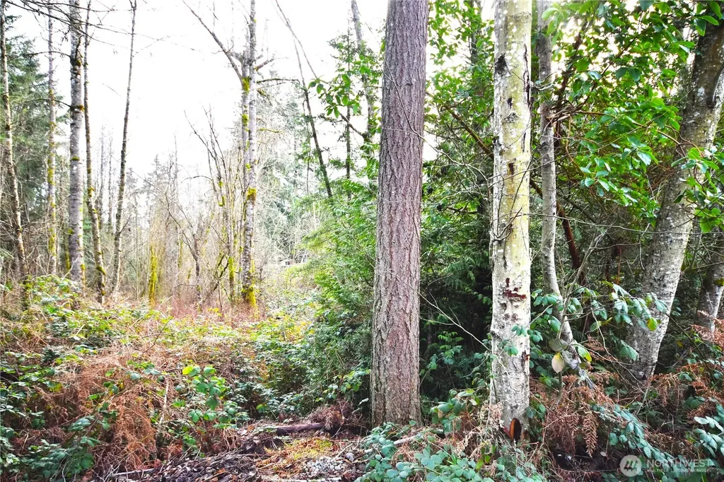 0 SE Cleveland Avenue Port Orchard WA 98366