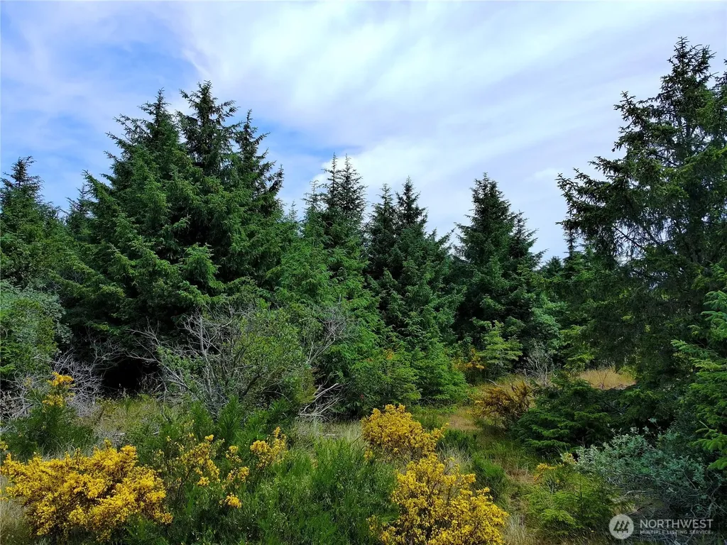 710 Island Circle SE Ocean Shores WA 98569