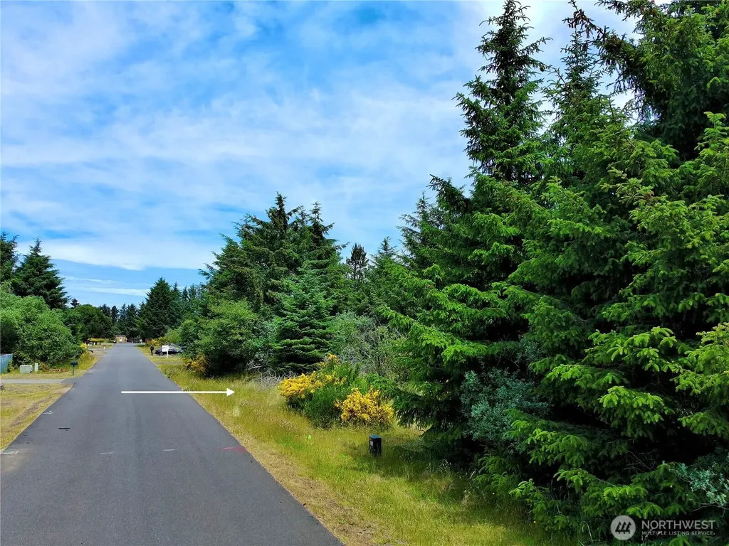 710 Island Circle SE Ocean Shores WA 98569