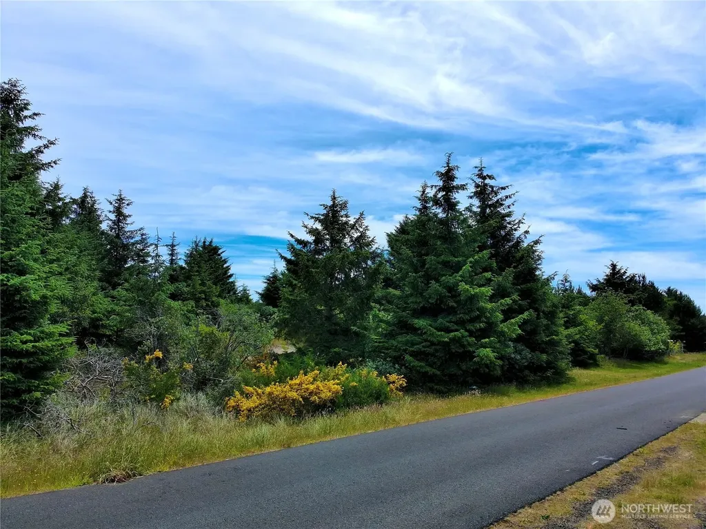 710 Island Circle SE Ocean Shores WA 98569