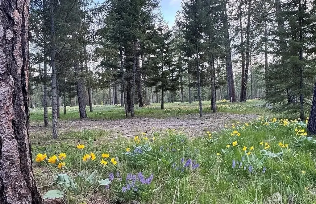 331 Wanawish Loop Cle Elum WA 98922