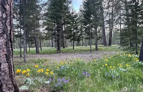 331 Wanawish Loop Cle Elum WA 98922