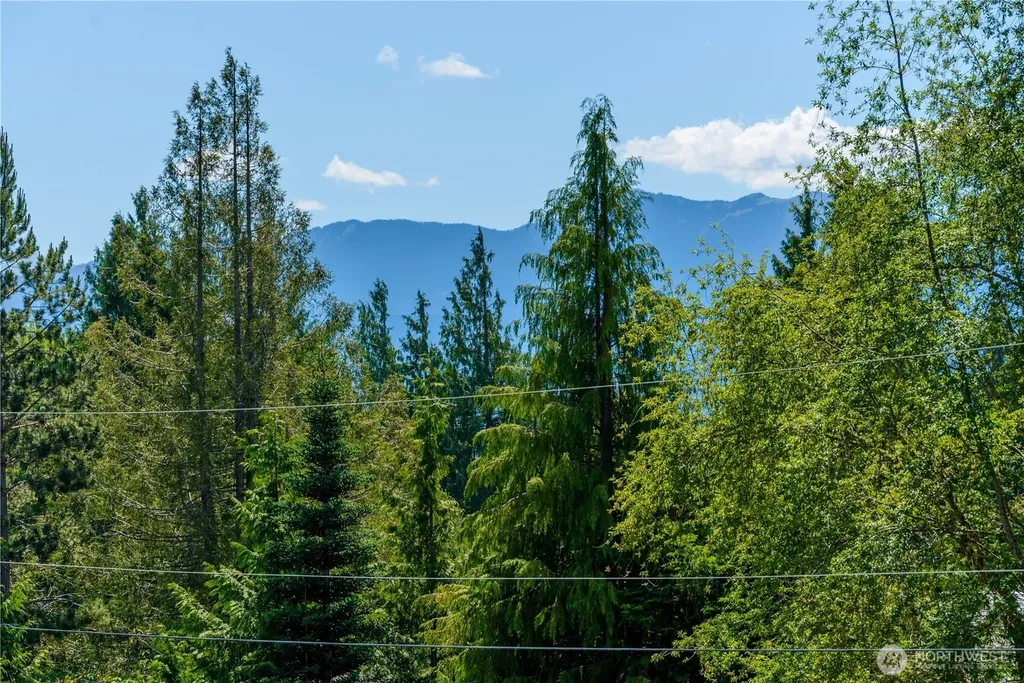 12 Kirner Ridge Lane Sequim WA 98382