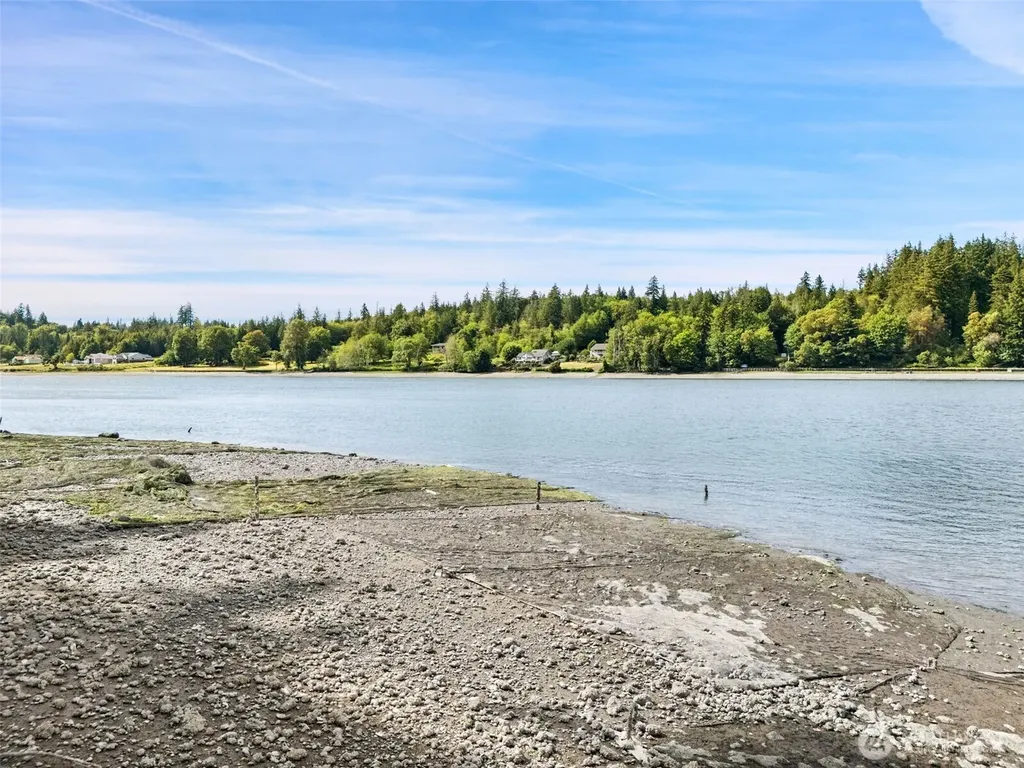 Shelton WA 98584