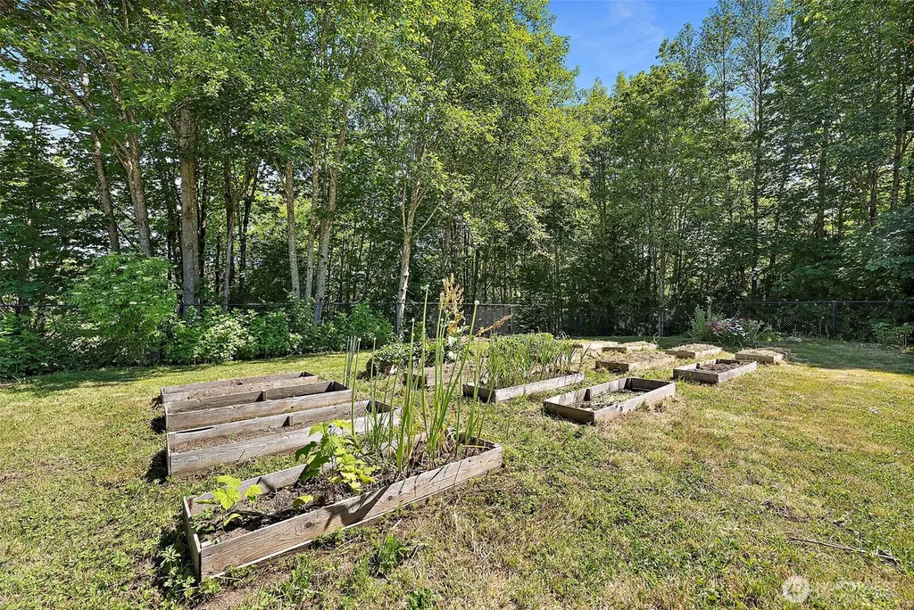 61 Hot Dog Lane Elma WA 98541