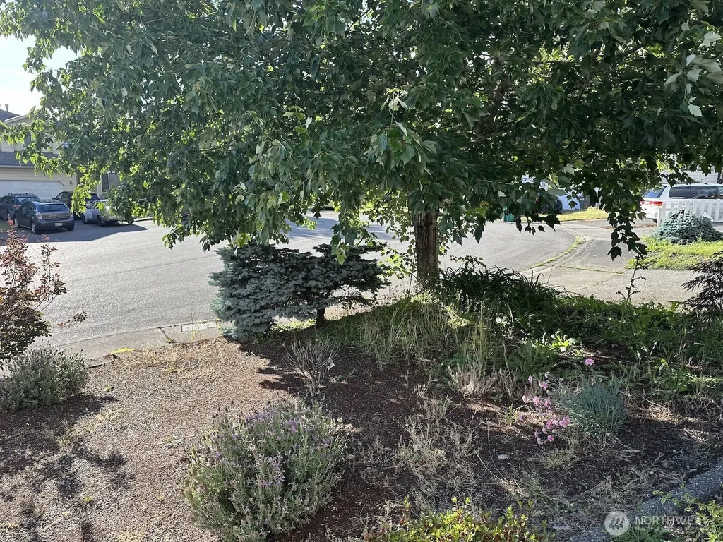 31590 115th Avenue SE Auburn WA 98092
