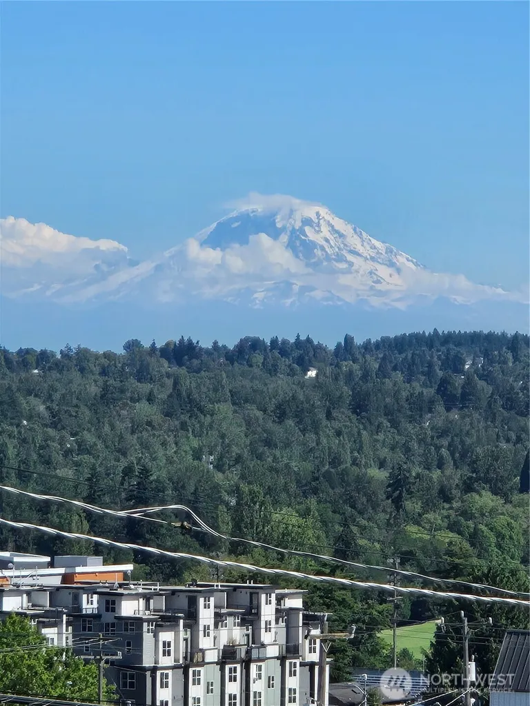 4022 37th Avenue SW Seattle WA 98126