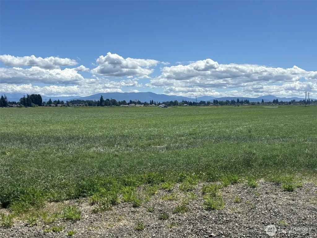 8976 Double Ditch Road Lynden WA 98264
