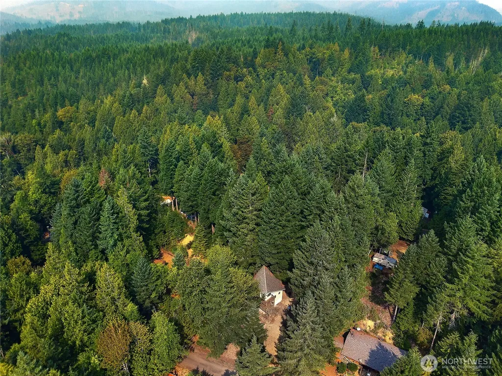 221 N Trail Head Loop Lilliwaup WA 98555