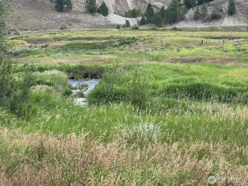 1 Lundimo Meadows Tract 1 Curlew WA 99118