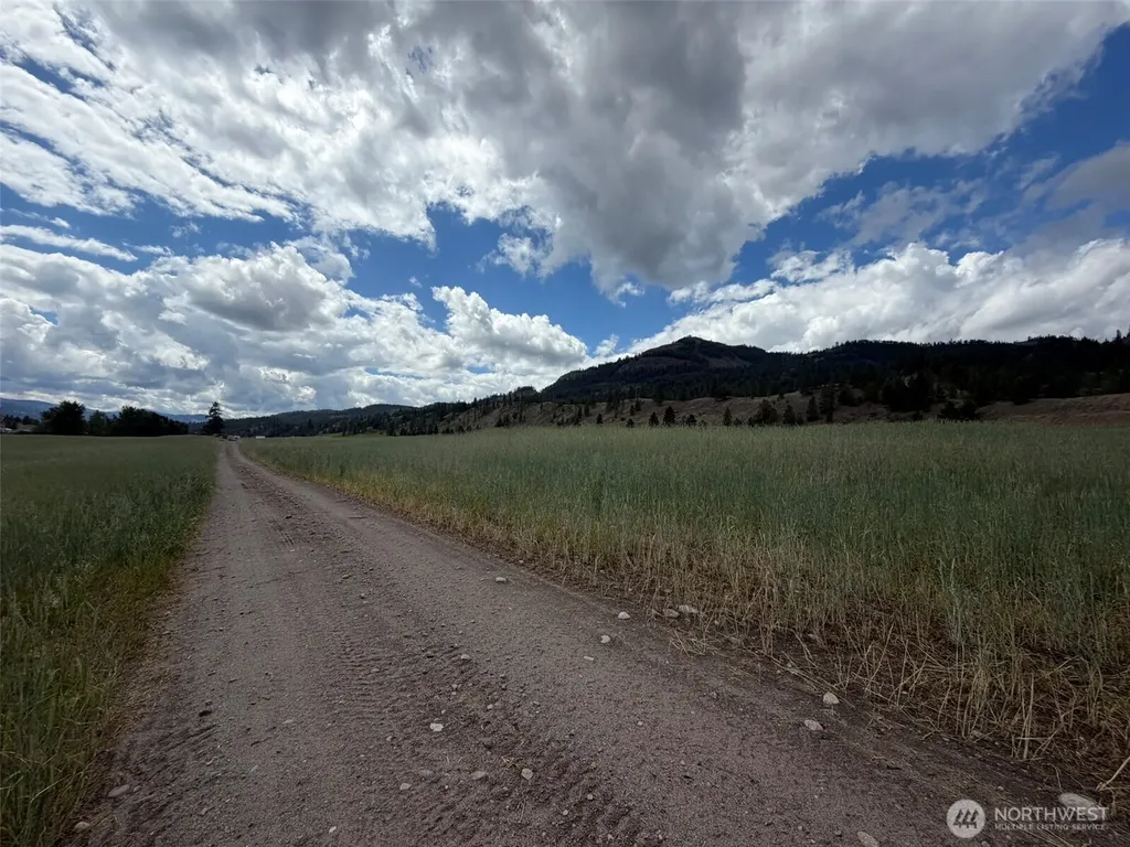 1 Lundimo Meadows Tract 1 Curlew WA 99118