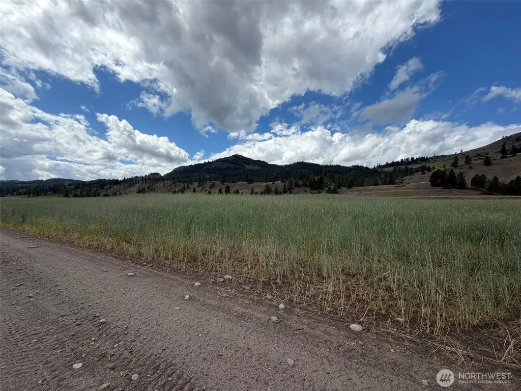 1 Lundimo Meadows Tract 1 Curlew WA 99118