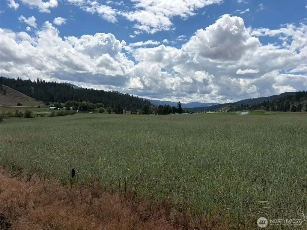 1 Lundimo Meadows Tract 1 Curlew WA 99118