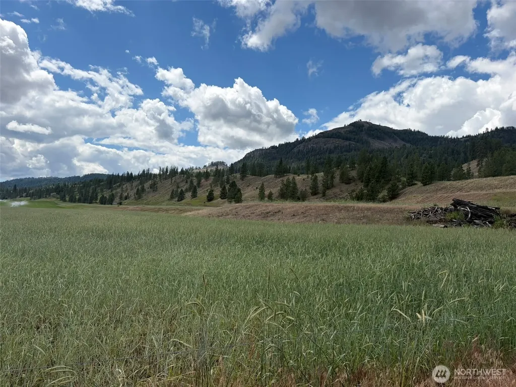 1 Lundimo Meadows Tract 1 Curlew WA 99118