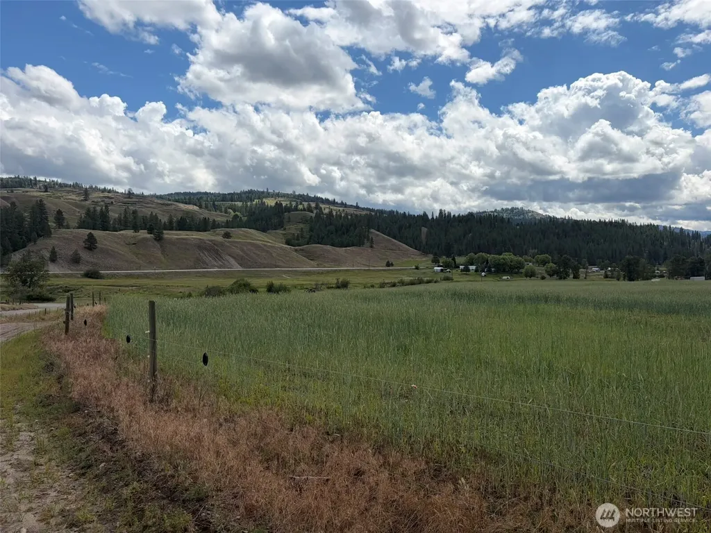 1 Lundimo Meadows Tract 1 Curlew WA 99118