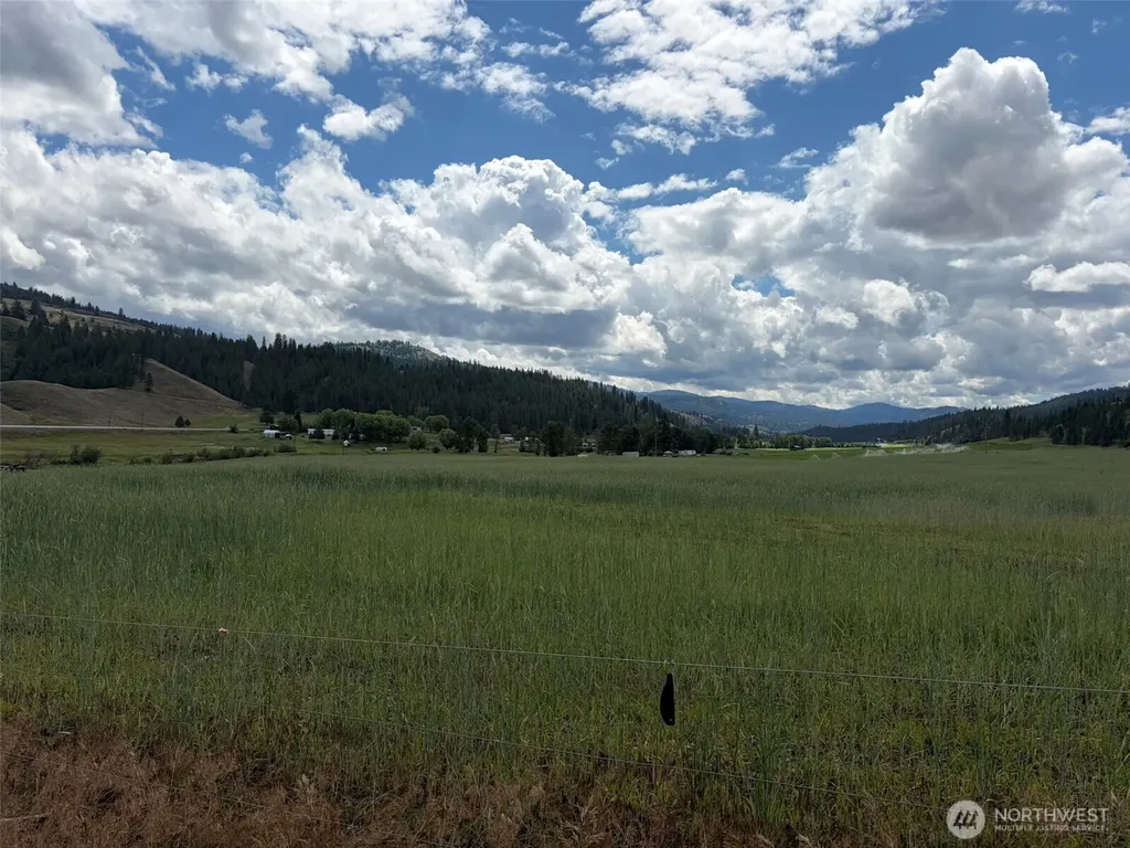 1 Lundimo Meadows Tract 1 Curlew WA 99118