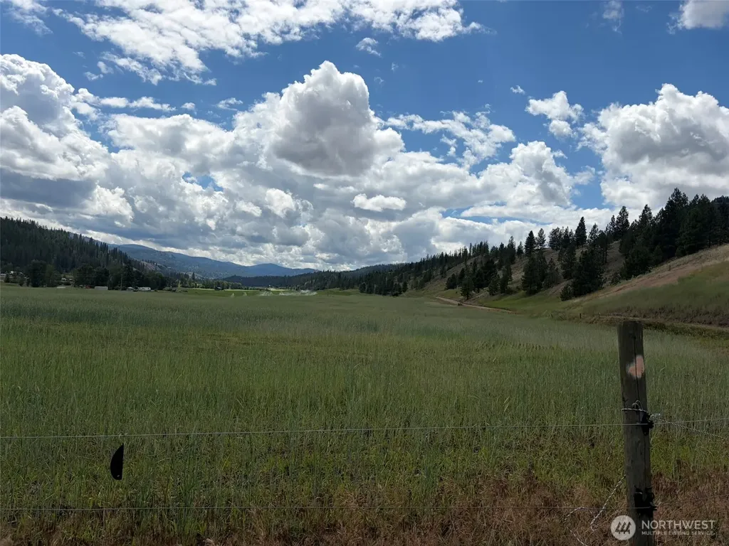 1 Lundimo Meadows Tract 1 Curlew WA 99118