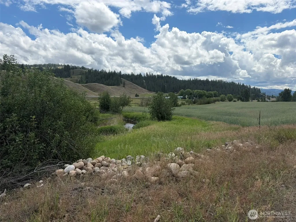 1 Lundimo Meadows Tract 1 Curlew WA 99118