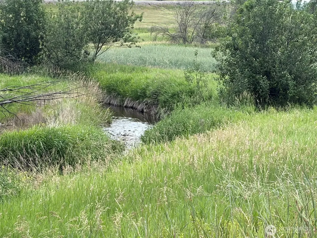 1 Lundimo Meadows Tract 1 Curlew WA 99118