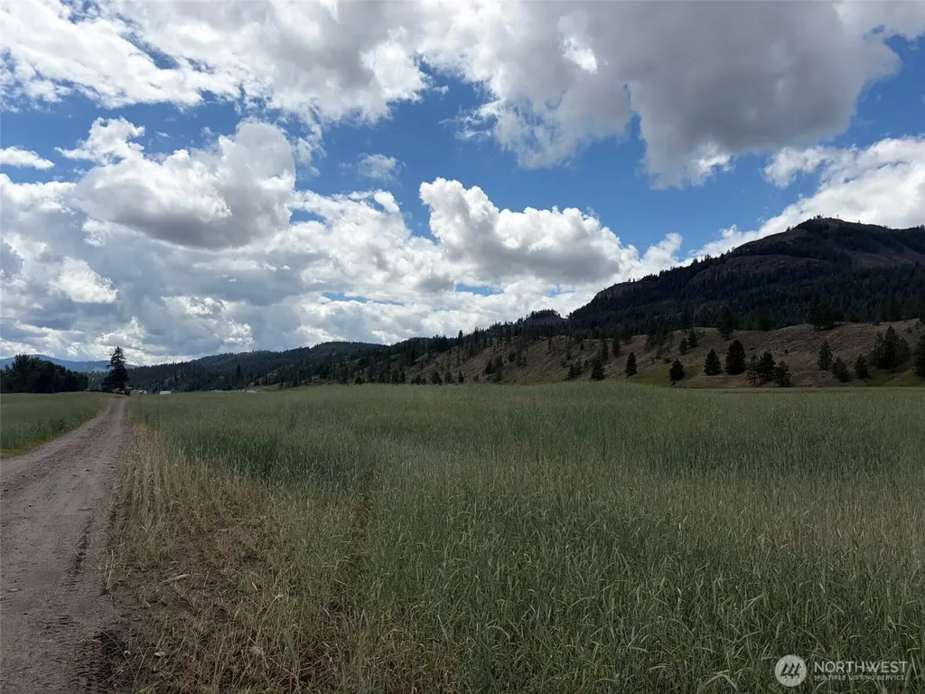 1 Lundimo Meadows Tract 1 Curlew WA 99118