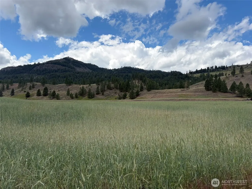 1 Lundimo Meadows Tract 1 Curlew WA 99118