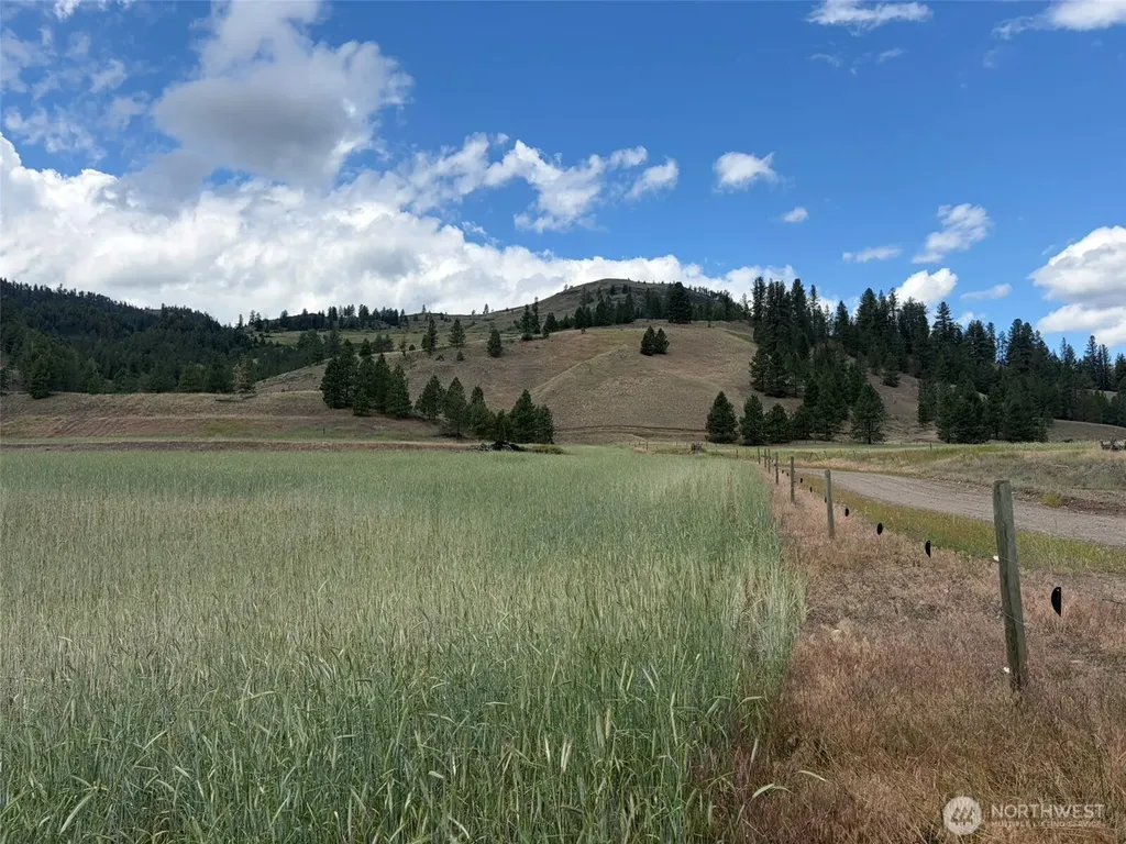 1 Lundimo Meadows Tract 1 Curlew WA 99118