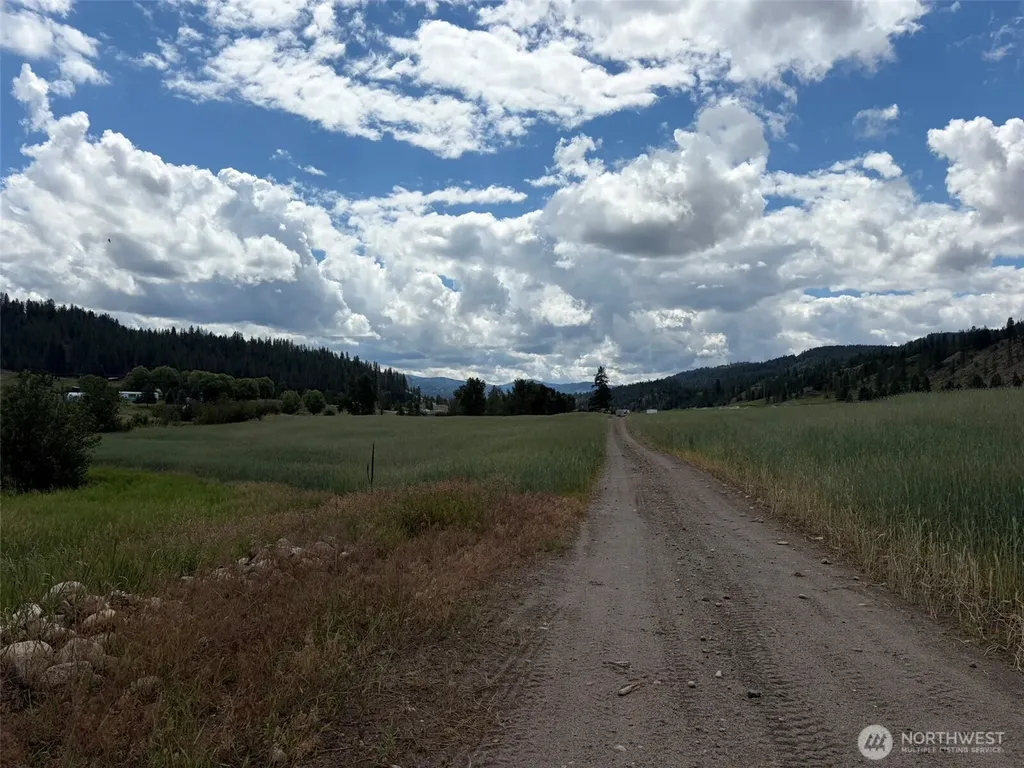 1 Lundimo Meadows Tract 1 Curlew WA 99118