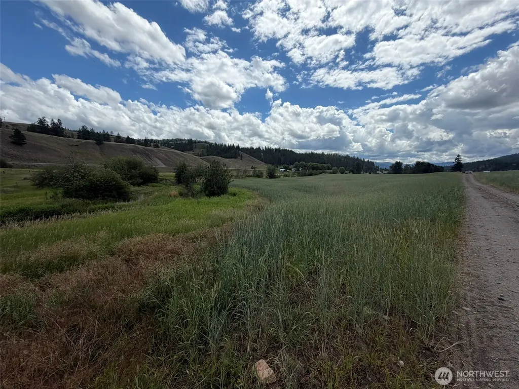 1 Lundimo Meadows Tract 1 Curlew WA 99118