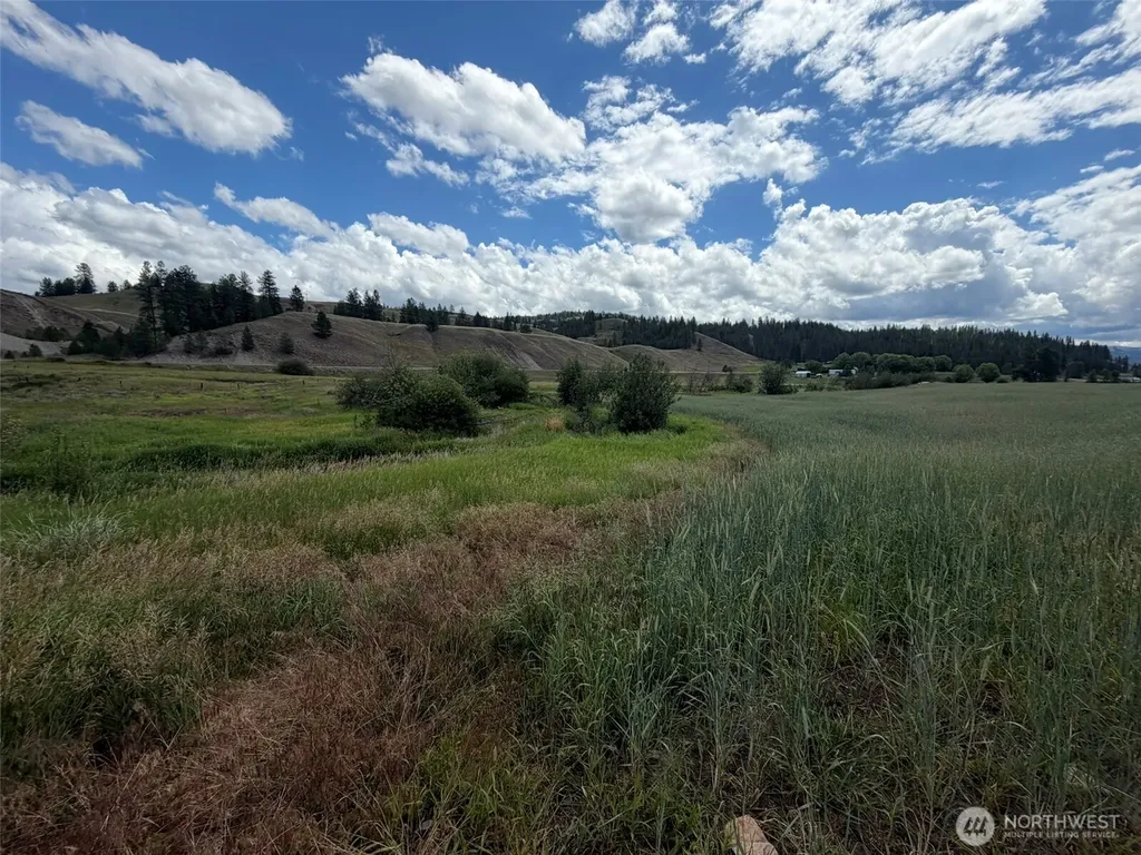 1 Lundimo Meadows Tract 1 Curlew WA 99118