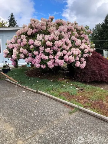 3700 14th Avenue SE Olympia WA 98501