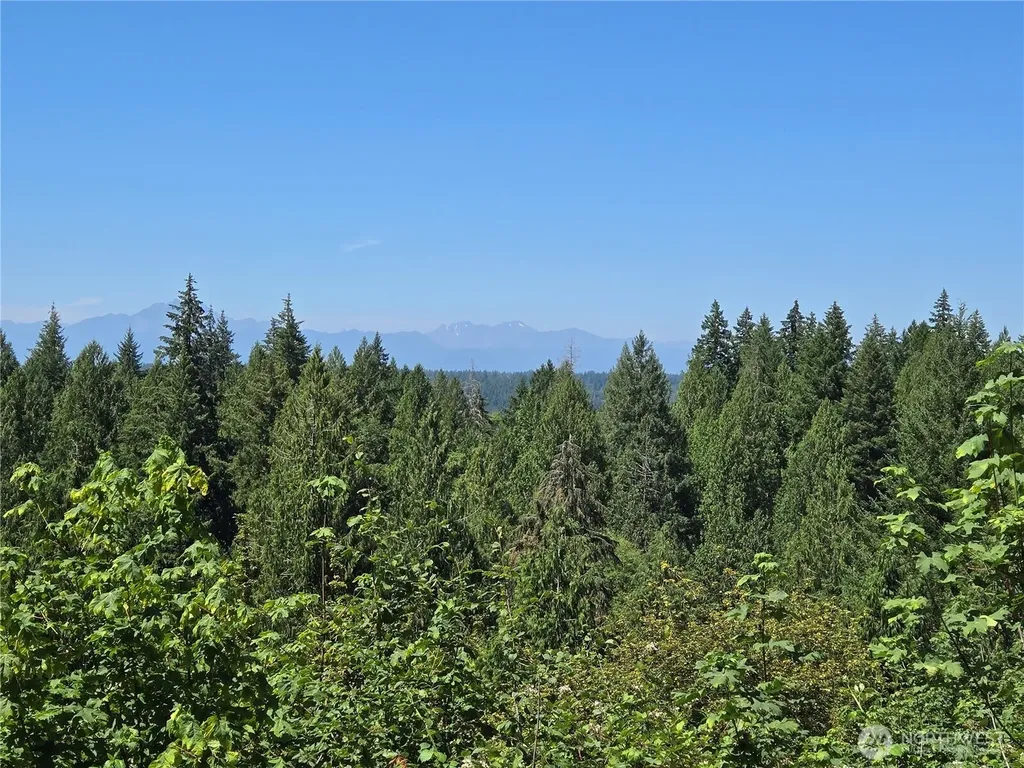 91 E Blue Heron Rest Belfair WA 98528