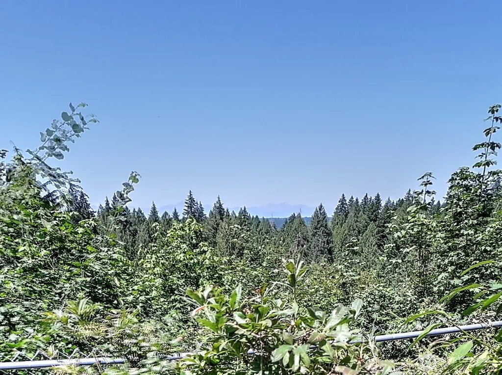91 E Blue Heron Rest Belfair WA 98528
