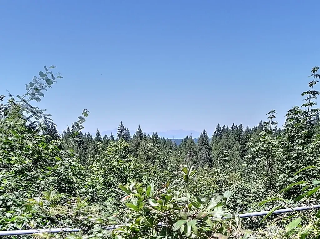 91 E Blue Heron Rest Belfair WA 98528
