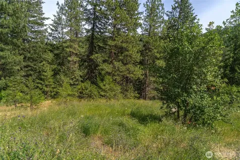 3677 Allen Lane Peshastin WA 98847