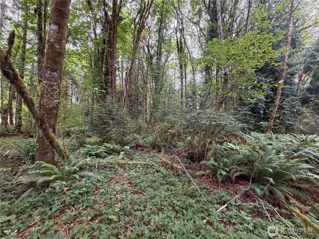 3817 Boston Harbor Road NE Olympia WA 98506