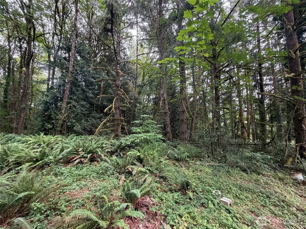 3817 Boston Harbor Road NE Olympia WA 98506