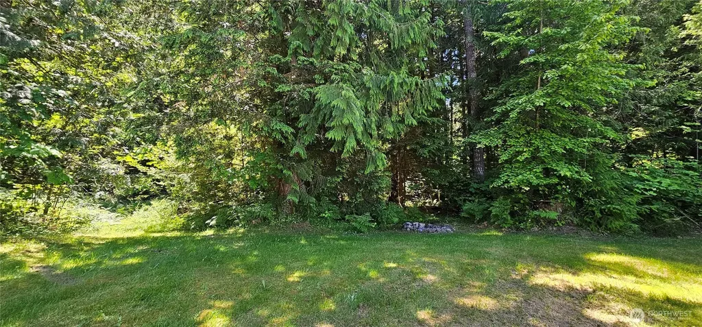 113 Skinner Road Randle WA 98377