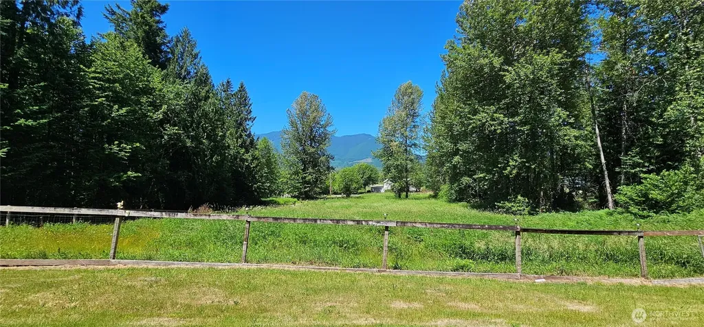 113 Skinner Road Randle WA 98377