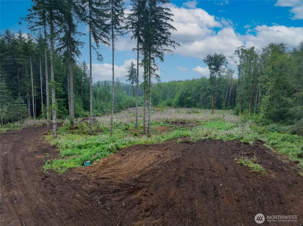 254 Calvin Road Onalaska WA 98570