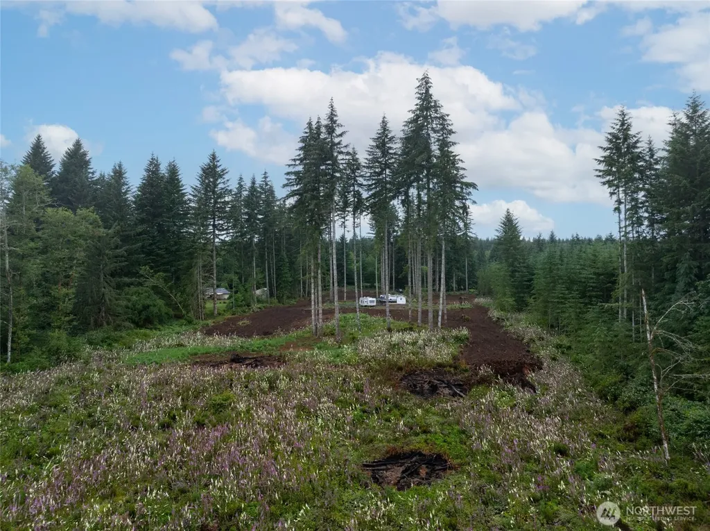 254 Calvin Road Onalaska WA 98570