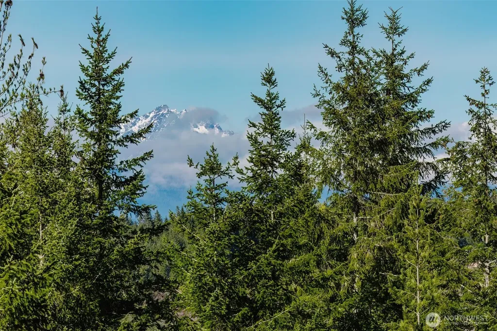 62 NE Southridge Drive Belfair WA 98528