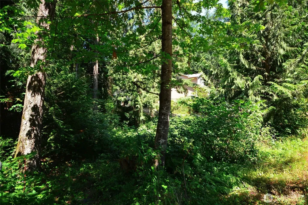 18840 Rampart Drive SE Yelm WA 98597