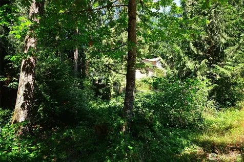 18840 Rampart Drive SE Yelm WA 98597