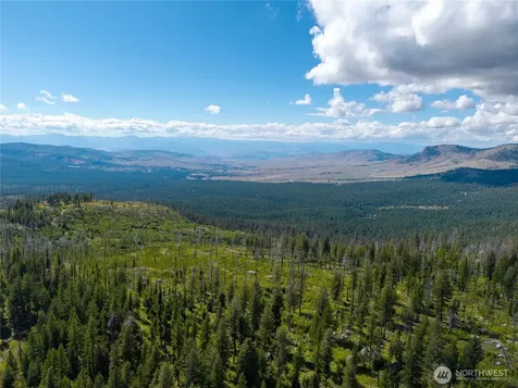 370 Thompson Road Riverside WA 98849