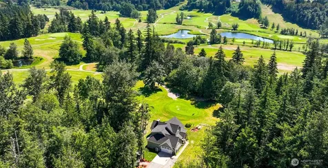 6005 Birkdale Lane Everson WA 98247