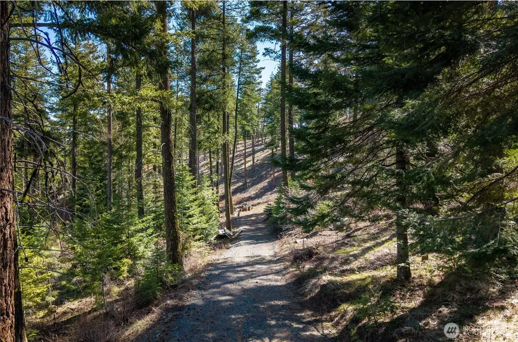 6761 Forest Ridge Drive Wenatchee WA 98801
