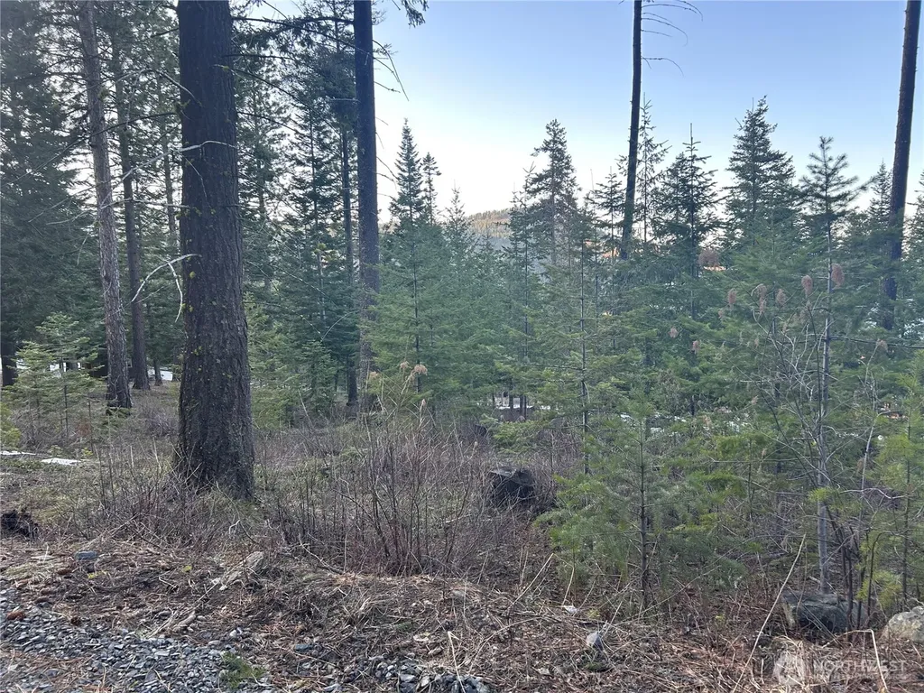6761 Forest Ridge Drive Wenatchee WA 98801