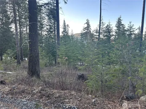 6761 Forest Ridge Drive Wenatchee WA 98801