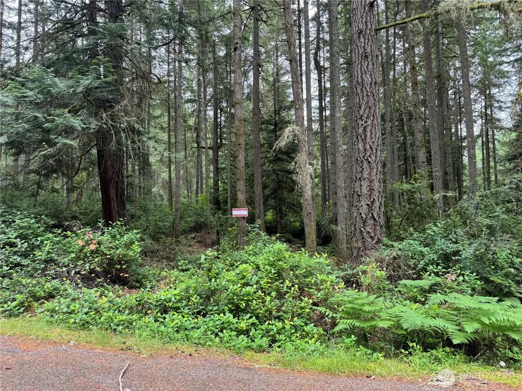 11308 114th Street Court Anderson Island WA 98303